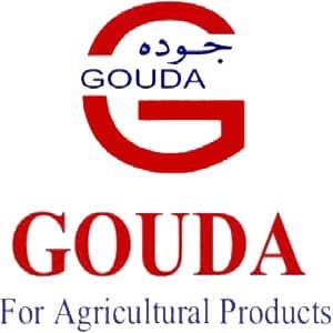 Gouda